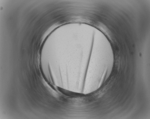 X0000080121476200701051342