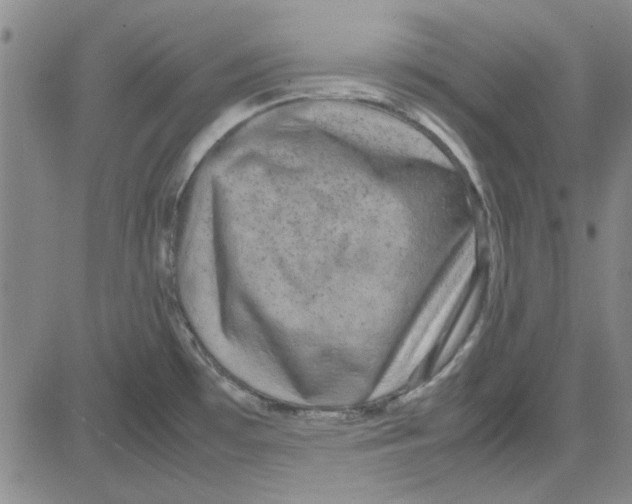 X0000080121481200701051342