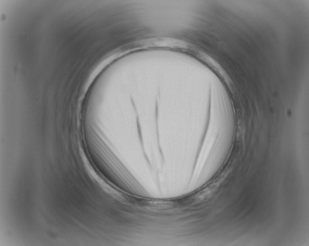 X0000080121483200701051342