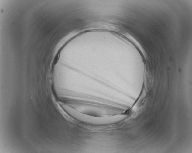 X0000080121485200701051342