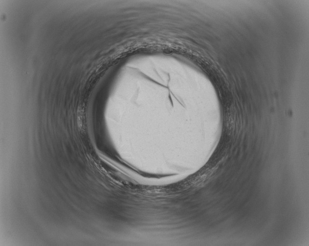 X0000080121490200701051341