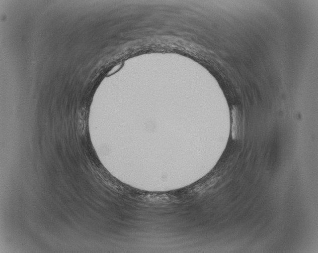 X0000080121491200701051341