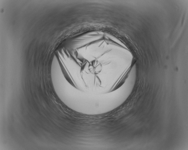 X0000080121492200701051341