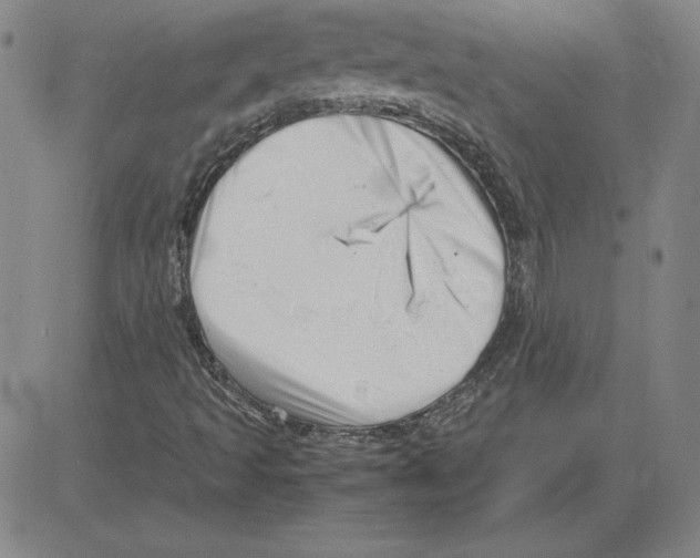 X0000080121493200701051341