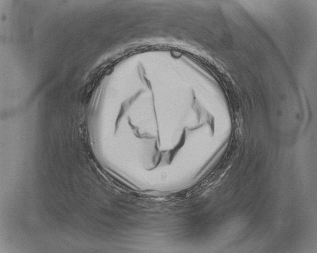 X0000080121494200701051341