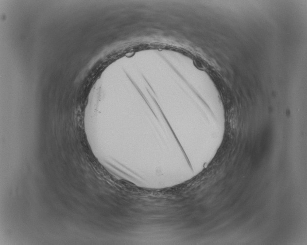 X0000080121495200701051341