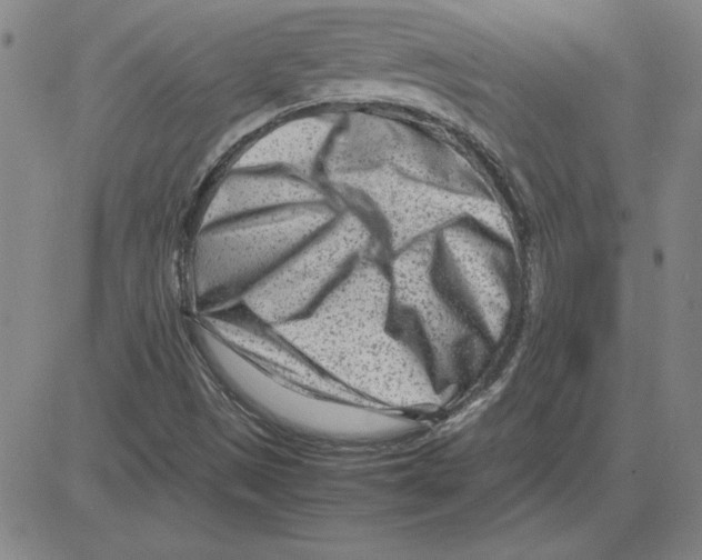 X0000080121497200701051341