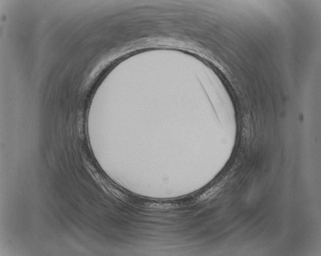 X0000080121499200701051341