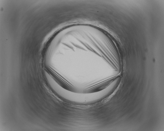 X0000080121502200701051341