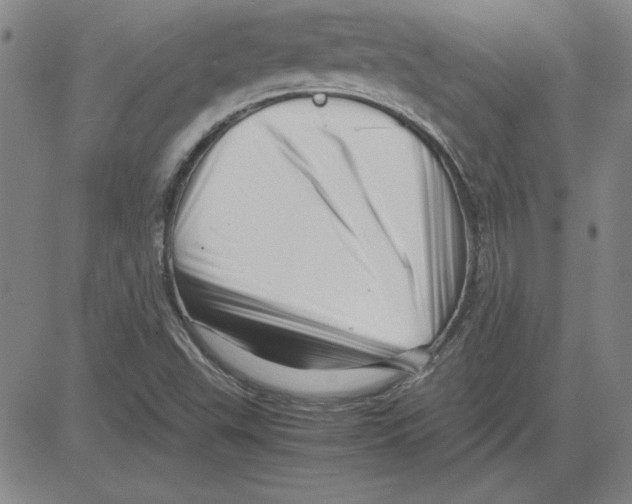 X0000080121503200701051341