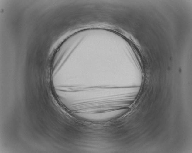 X0000080121504200701051341
