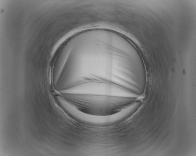 X0000080121510200701051341
