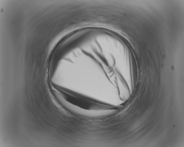 X0000080121511200701051341