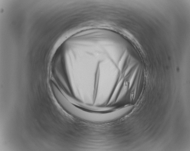 X0000080121520200701051342