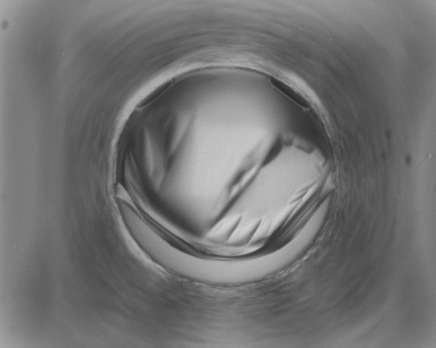 X0000080121528200701051342