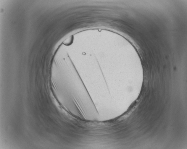 X0000080121534200701051342