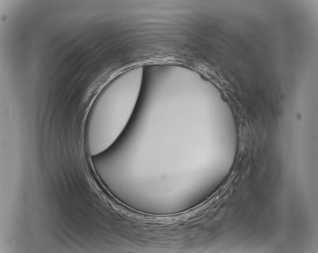 X0000080130002200612081008