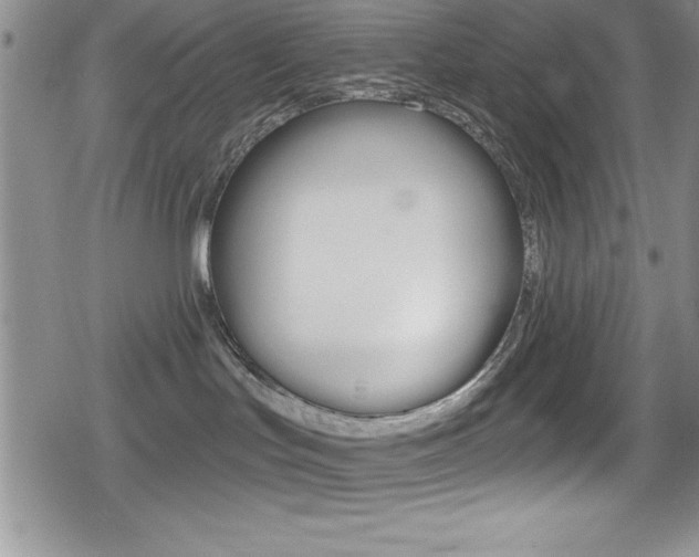 X0000080130047200612081007