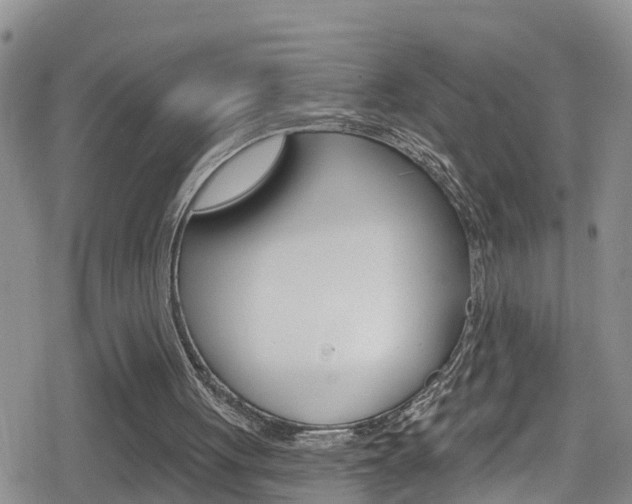 X0000080130051200612081006