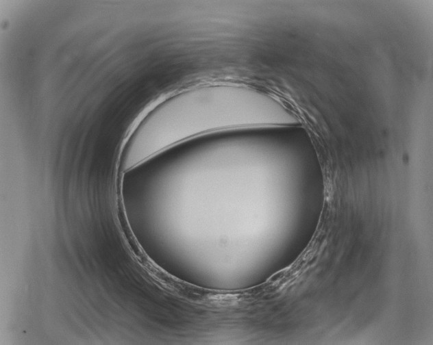 X0000080130052200612081006