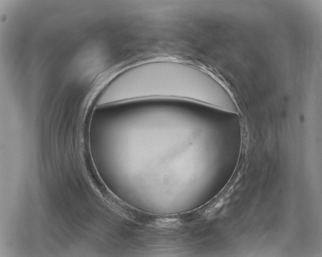X0000080130055200612081006