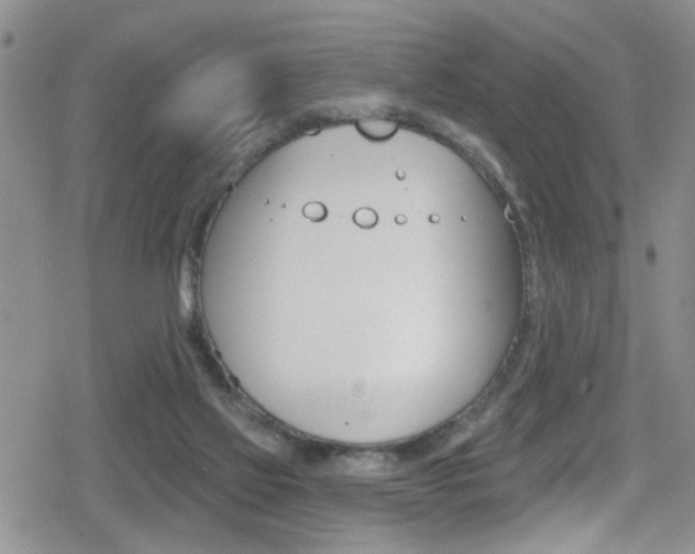 X0000080130069200612081006