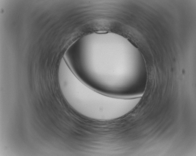 X0000080130084200612081007