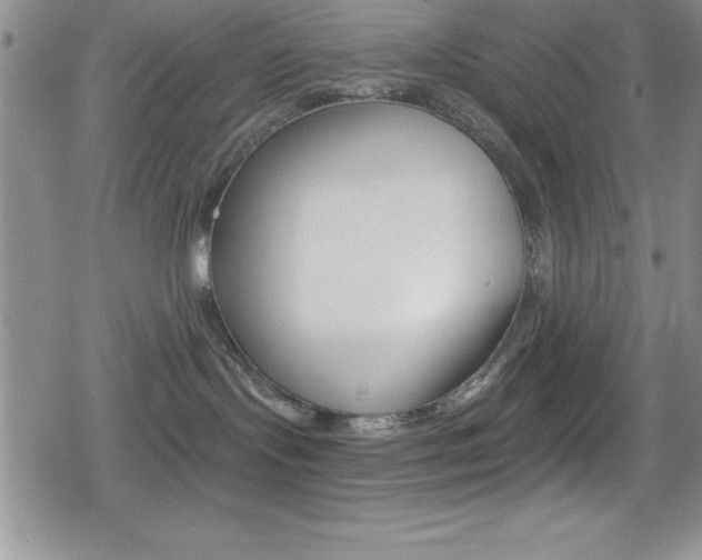 X0000080130095200612081007