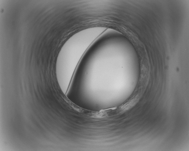 X0000080130096200612081007
