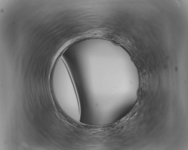 X0000080130100200612081006