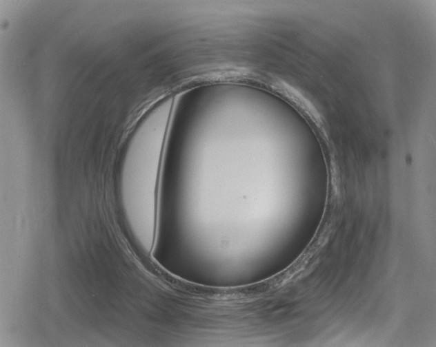 X0000080130105200612081006