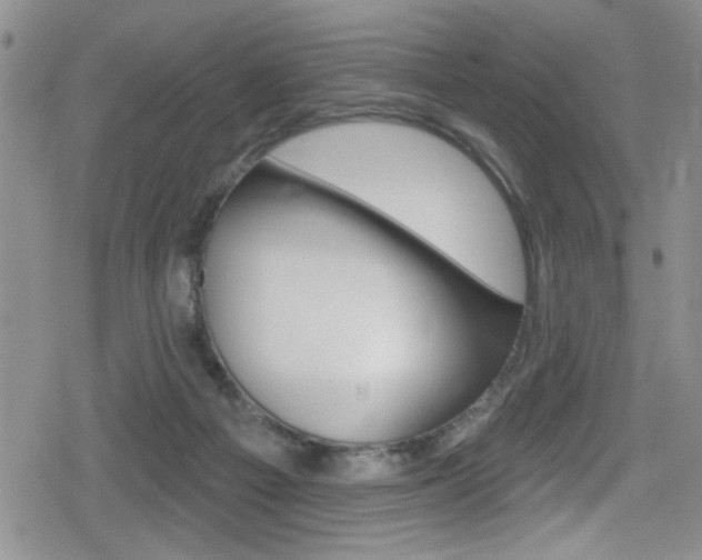 X0000080130121200612081006