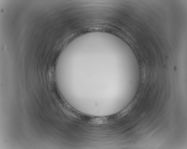 X0000080130126200612081006