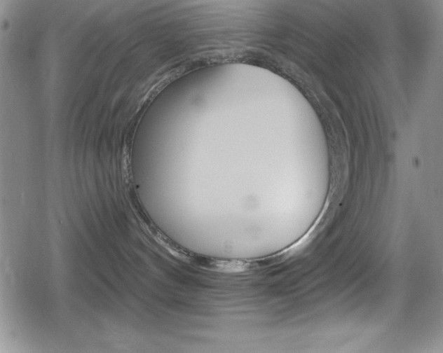 X0000080130144200612081005