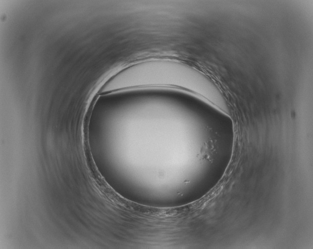 X0000080130148200612081005