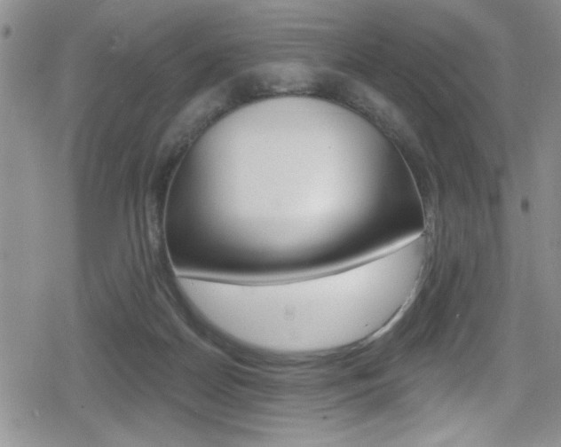 X0000080130170200612081005
