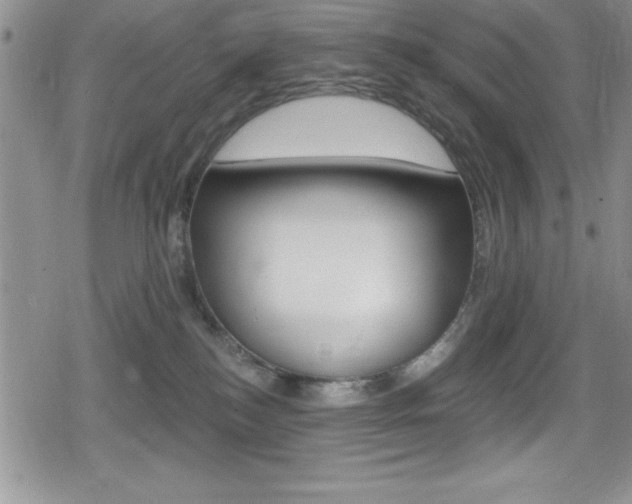 X0000080130184200612081005