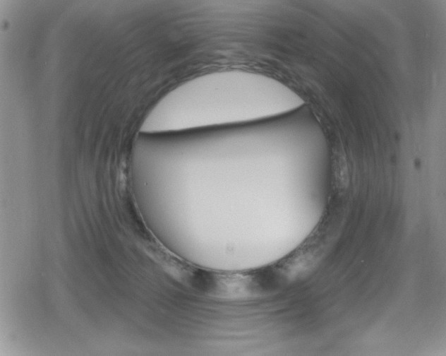 X0000080130226200612081004