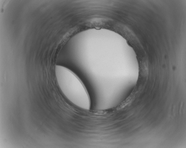 X0000080130232200612081004
