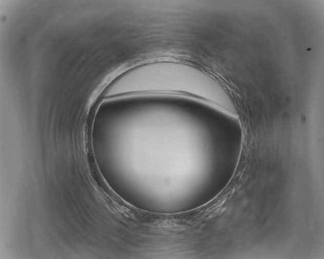 X0000080130244200612081003