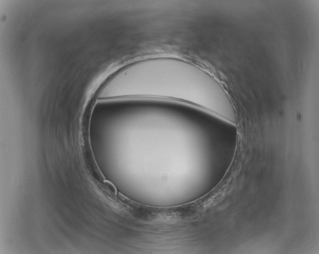 X0000080130248200612081003