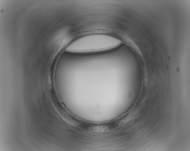 X0000080130251200612081003
