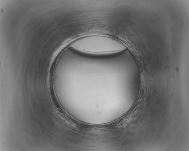 X0000080130292200612081003