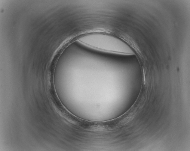 X0000080130300200612081003