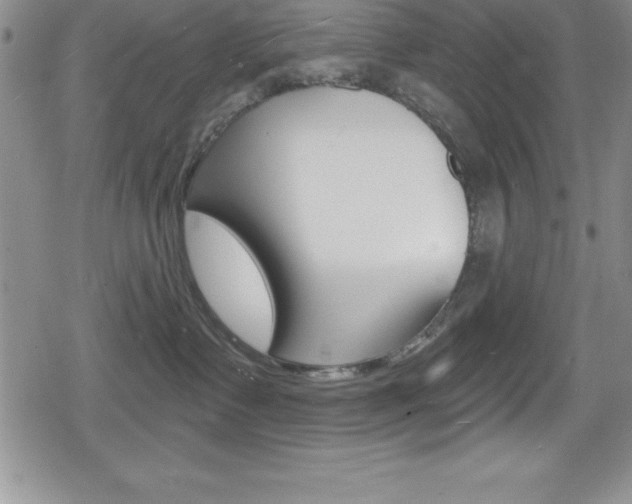 X0000080130335200612081002