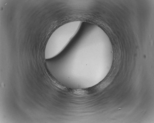 X0000080130336200612081002