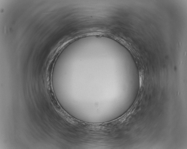 X0000080130339200612081001
