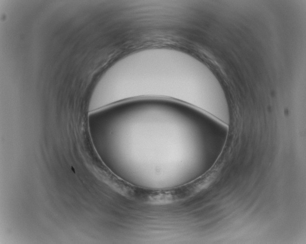 X0000080130362200612081002