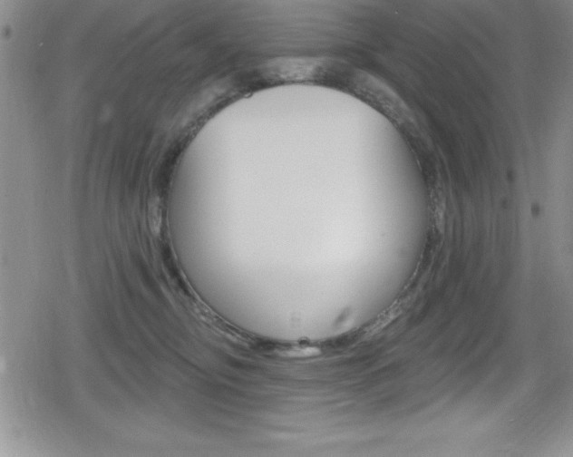 X0000080130374200612081002