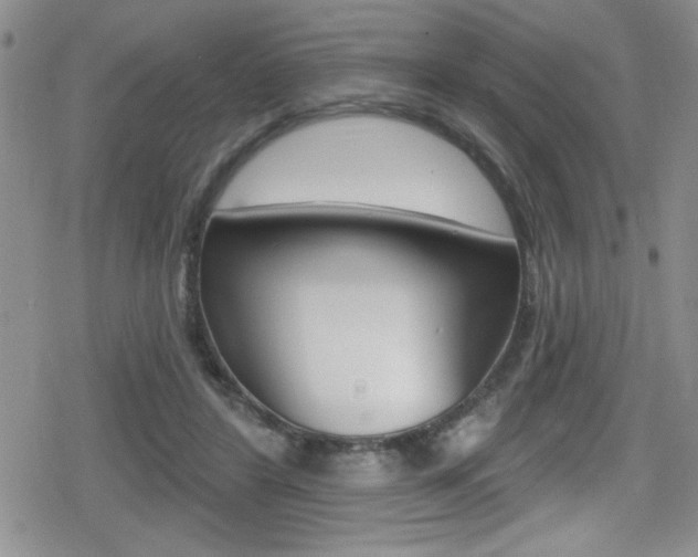 X0000080130404200612081001